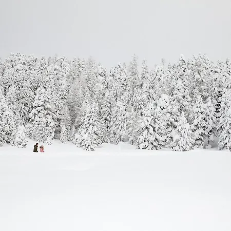 Chesa Languard Hotel Svatý Mořic