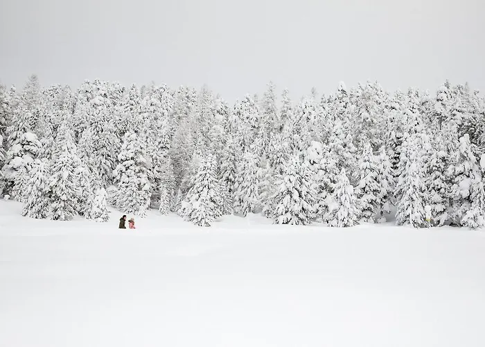 Chesa Languard 酒店 圣莫里茨